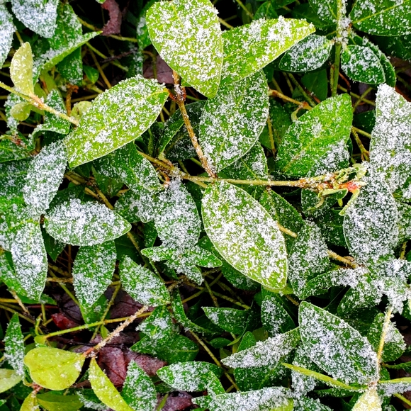 Meet your Posher, Barbara - Picture 1 of 2